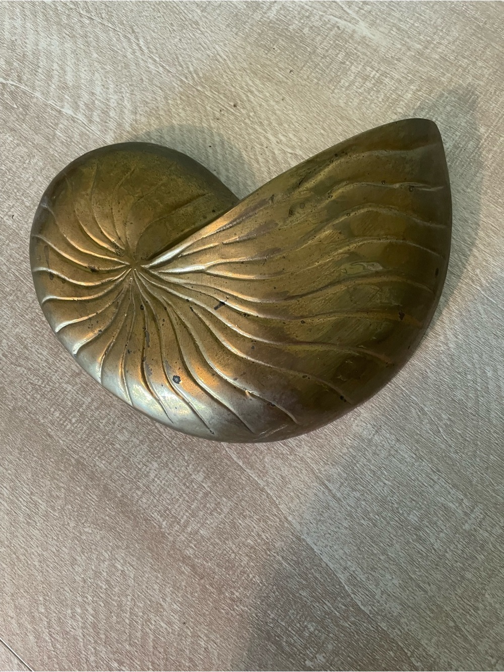 Vintage mid-century modern brass nautilus sea shell planter decor wall art